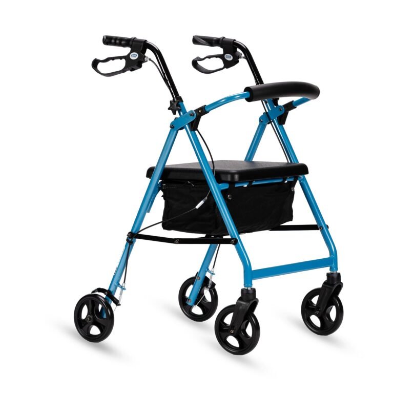 Deluxe Seat Walker - Blue